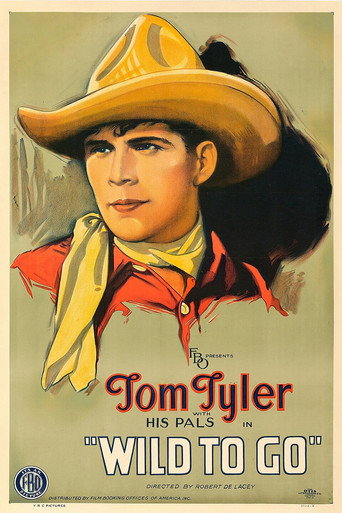 Movie poster for Wild to Go (1926)