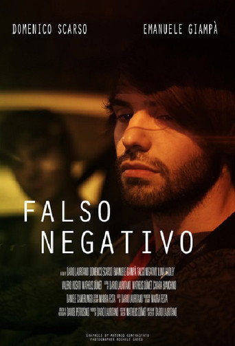 Movie poster for False Negative (2016)