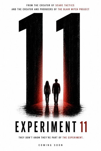 Movie poster for Experiment 11