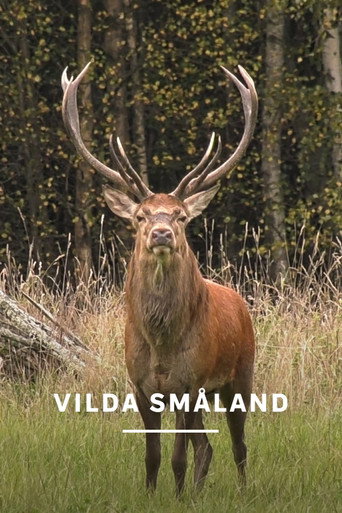 Movie poster for Vilda Småland (2024)
