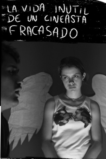 The useless life of a failed filmmaker poster