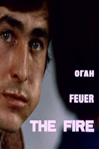 Movie poster for Fire (1974)