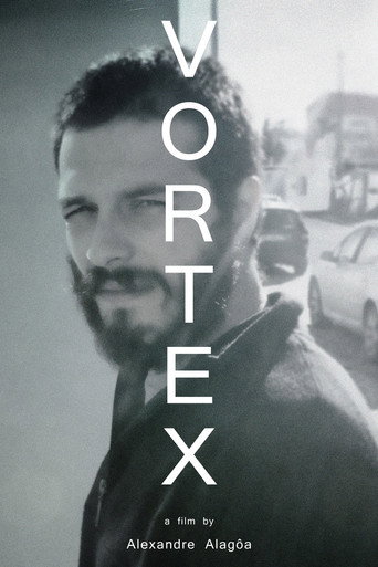 Movie poster for Vortex (2017)