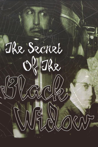 The Secret of the Black Widow poster