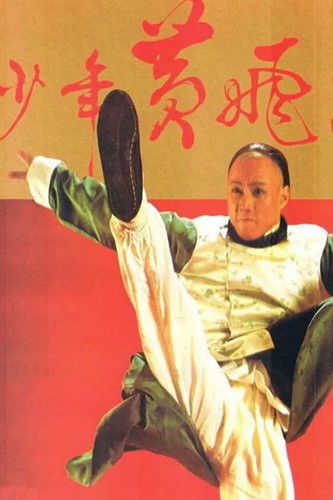 Young Wong Fei Hung poster