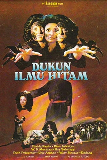 Movie poster for Black Magic Wizard (1981)