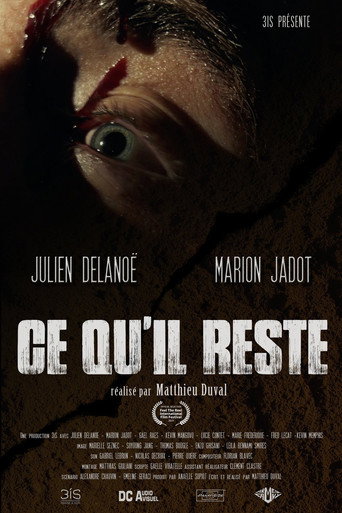 Ce qu'il reste poster
