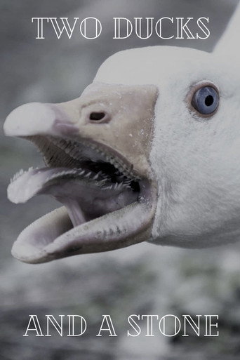 Movie poster for Two Ducks and a Stone