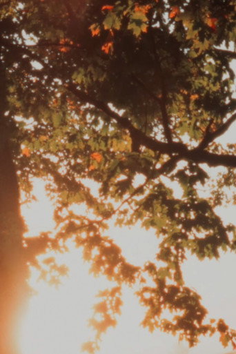 Movie poster for Autumn Sunrise (2022)