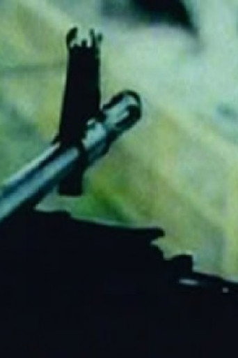 Movie poster for City Killer (2007)
