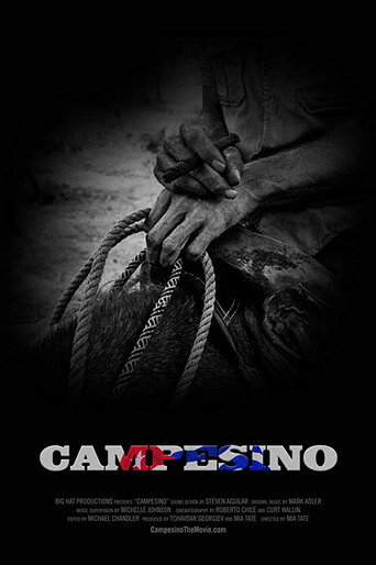 Movie poster for Campesino (2019)