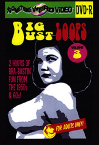 Movie poster for Big Bust Loops Volume 3 (2009)