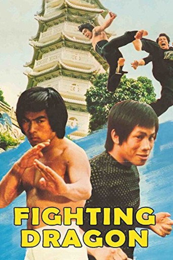 Movie poster for Fighting Dragon (1975)