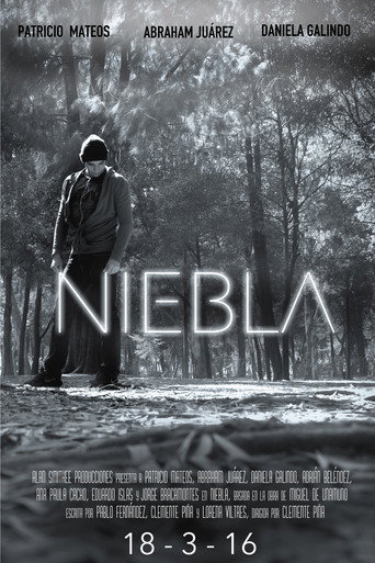 Movie poster for Niebla (2016)