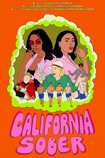 Movie poster for California Sober