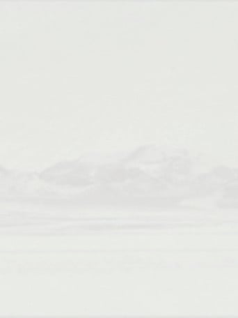 Movie poster for Dark Room Filled with Light (2006)