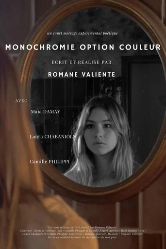 Movie poster for Monochromie Option Couleur (2024)