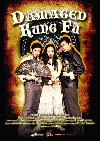 Movie poster for Damaged Kung Fu (2011)