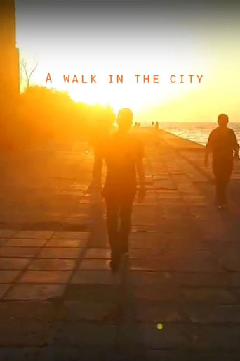 Movie poster for A Walk in the City (2018)
