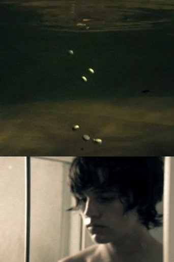Movie poster for Postmortem Bliss (2006)