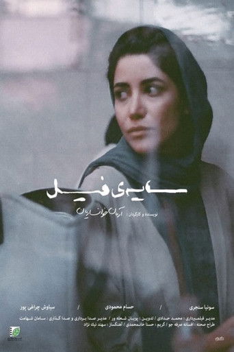 Elephant's Shadow poster