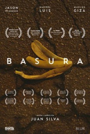 Movie poster for Trash (2017)