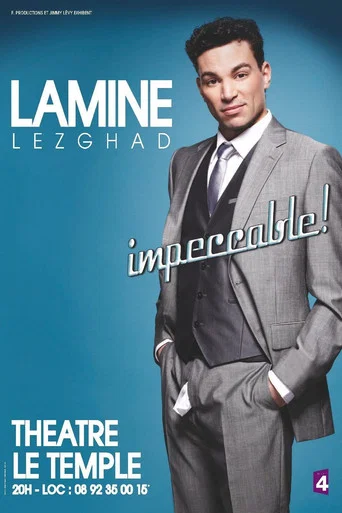 Movie poster for Impeccable