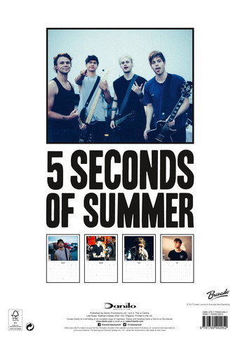 Movie poster for 5 Seconds of Summer - Rock in Rio Ao Vivo (2017)