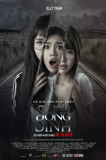 Movie poster for The Twins (2016)