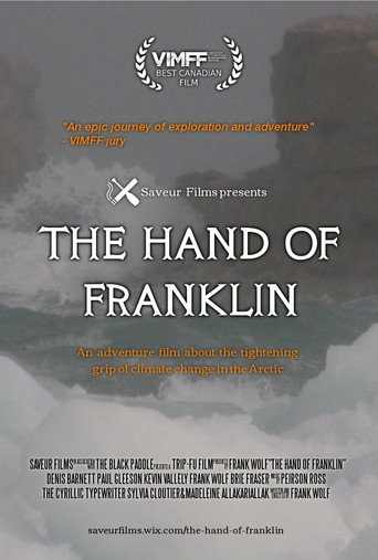 Movie poster for The Hand of Franklin (2017)