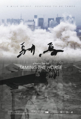 Movie poster for Taming the Horse (2017)