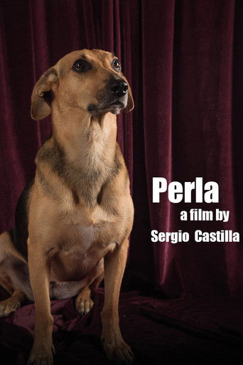 Perla poster