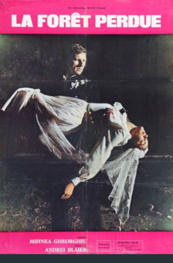 The Lost Forest poster