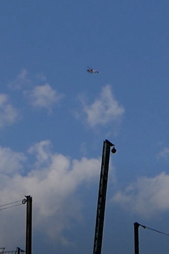 Movie poster for Flying Over Brooklyn (2020)
