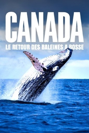 Movie poster for Le retour des baleines à bosse (2025)
