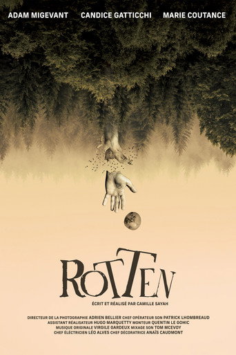 Movie poster for Rotten