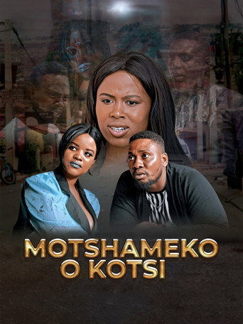 Movie poster for Motshameko O Kotsi