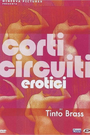 Tinto Brass presenta Corti circuiti erotici 2DVD poster