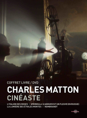 Movie poster for Charles Matton visiblement (2009)