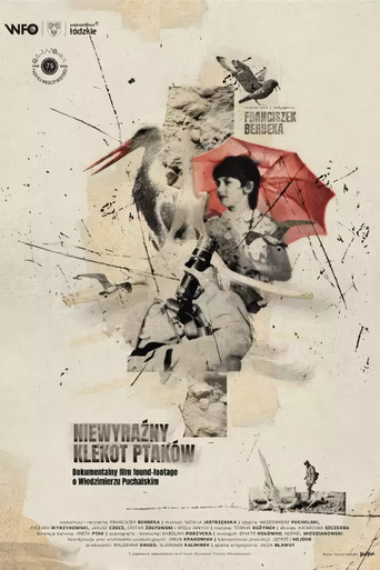 Movie poster for The Faint Clatter of Birds (2024)