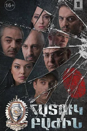 Series poster for Special Division (2015)