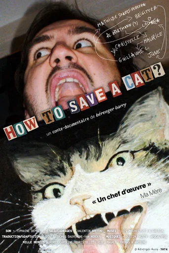 Movie poster for How To Save A Cat?
