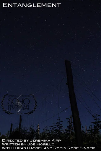 Movie poster for Entanglement (2018)