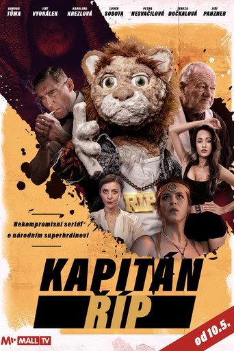 Kapitán Říp poster