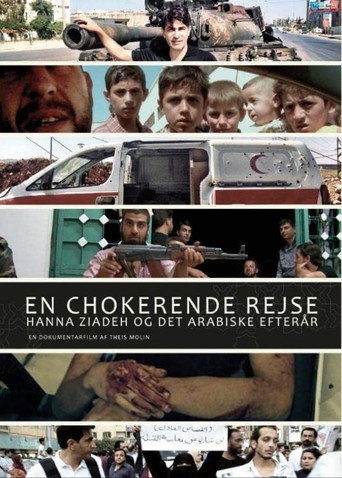 Movie poster for Crossing the Line (2013)