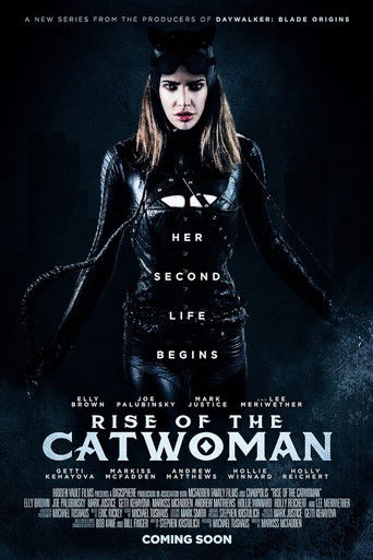 Rise of the Catwoman poster