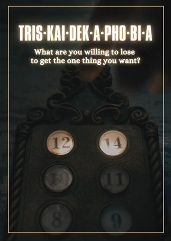 Movie poster for Triskaidekaphobia (2024)