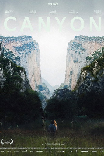 Canyon poster