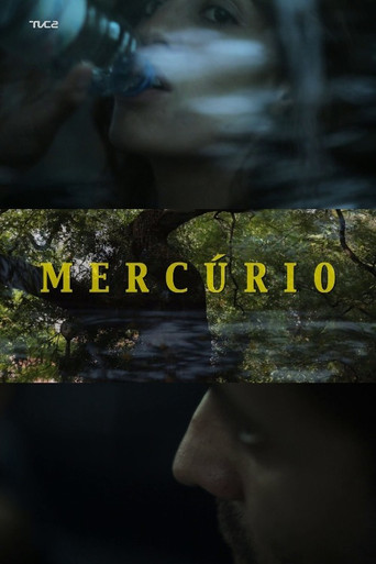Movie poster for Mercúrio (2010)