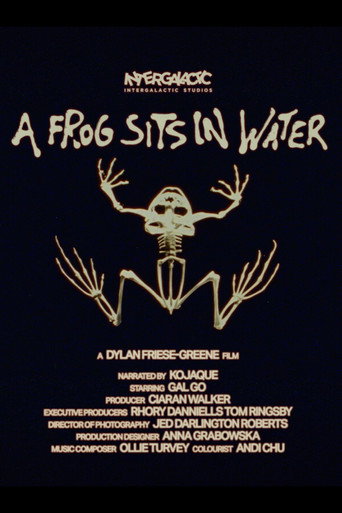 Movie poster for A Frog Sits In Water (2025)